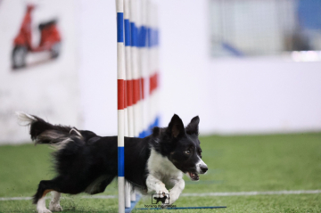 Grand Oakes Now Or Never