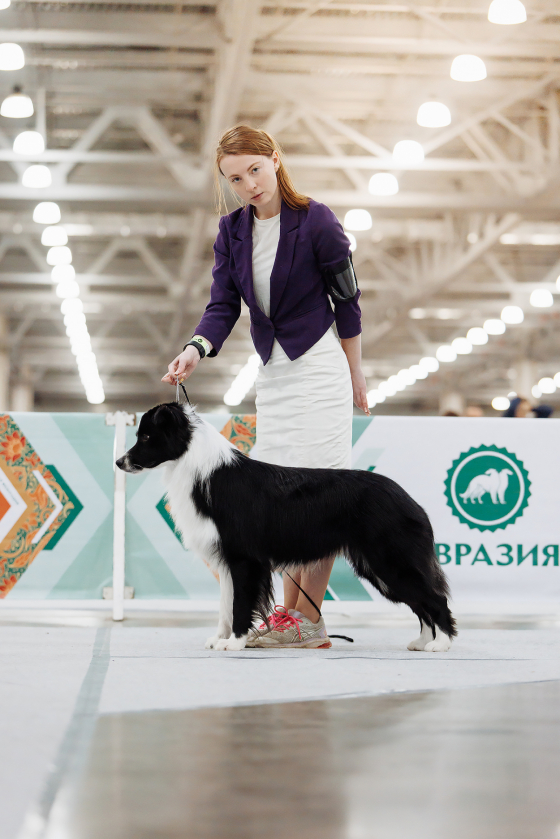 Demiart Ria Niels Bohr