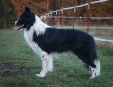 Dumf And Galwy Natural