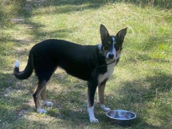 Telma