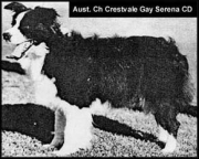 Crestvale Gay Serena