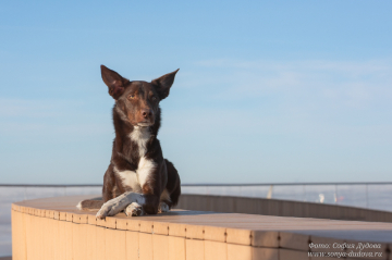 Miriantes Blessed To Go Ahead