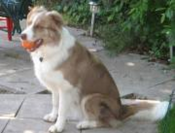 Marshonelle April's Anna