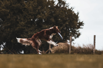 Magic Dreamer Made My Day