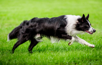 Trust Your Heart  Teo