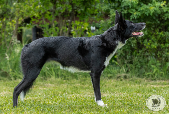 Wicked Wonderland Adventure Of Lifetime