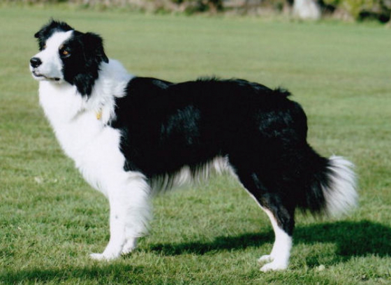 Rockin With Tyza Too