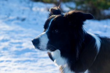 A Beautiful Fantastic Lady