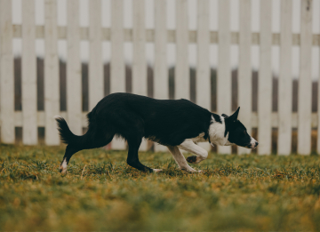 Shine Brighter Than The Stars