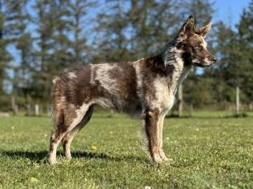 Asasara Nam Nam Cocio