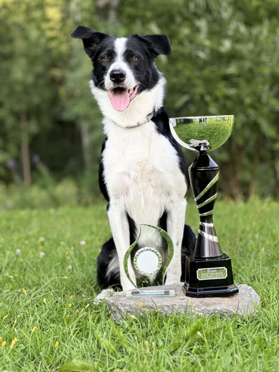 Mithrandir Diamond Heart