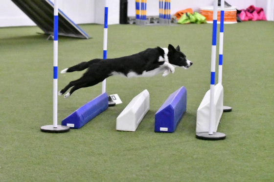 Cherusker Catch'n Up With Friends