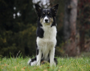 Seek Your Destiny The Thrill of The Rush