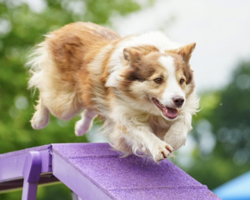 Manicjax Summer Dreams