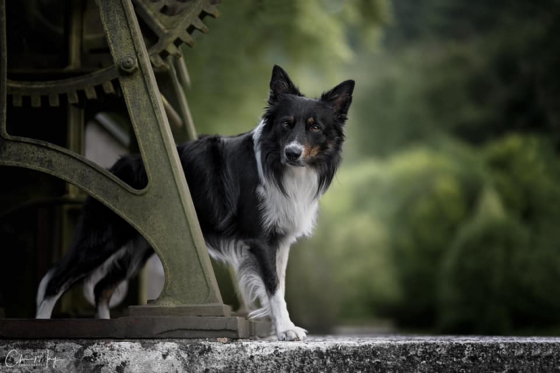 Trust Your Heart Space