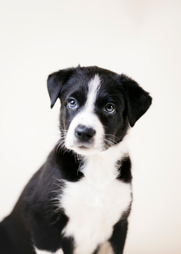 Miriantes Vasilisa Mikulishna