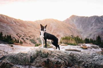 Solarflare's Natural Hat Trick