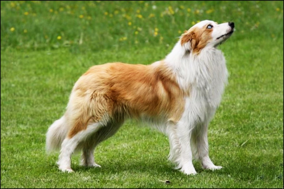 Heaven and Hell z Cernobilych