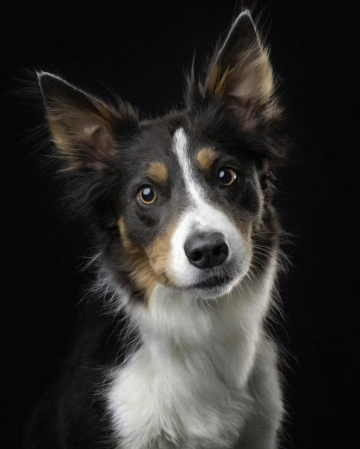 Luna Tale Raise me Up Gneis