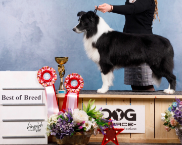 Simaro Phantom Ov Luv