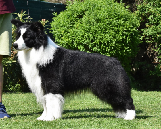 Wild Storm Feel Fine