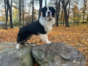 Pradas House James Bond