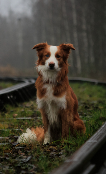 Beauty of Summer Rain