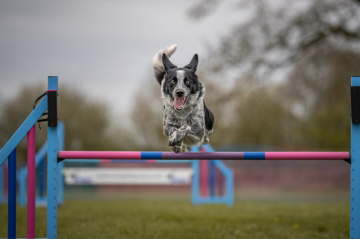 Poughkeepsie Third Shadow