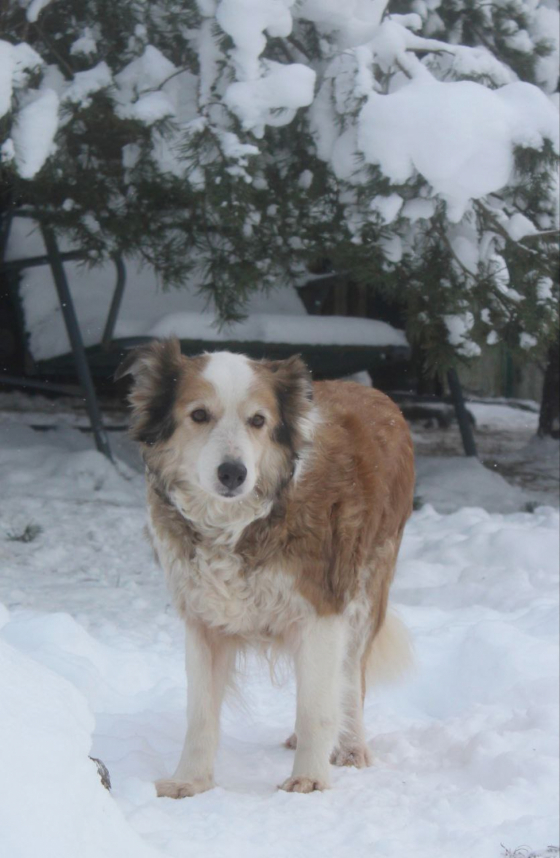 Motley House Iz Tuchkova