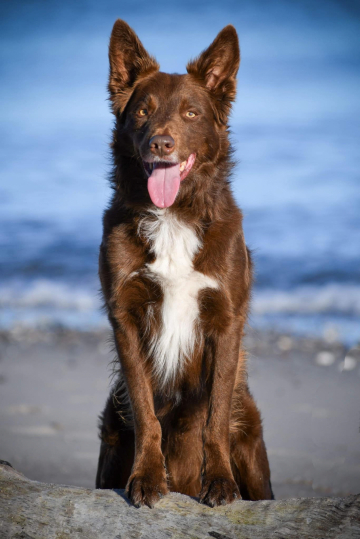 Eiri Greme Everlasting Love for Ghost