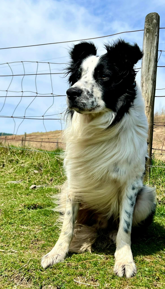 Ben