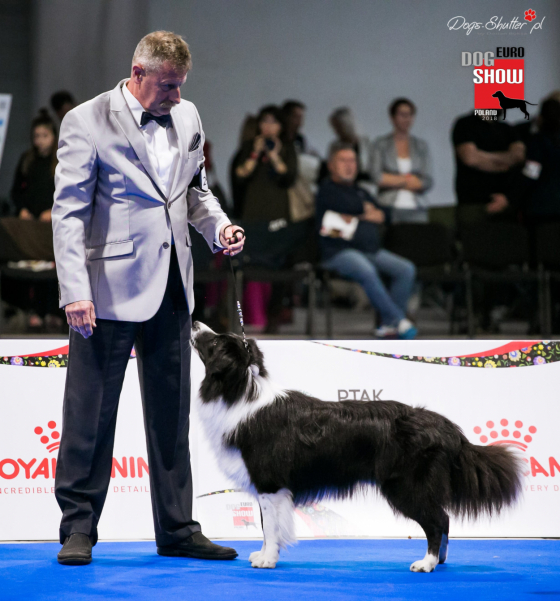 Anauk Animal Miracle Magic Victory