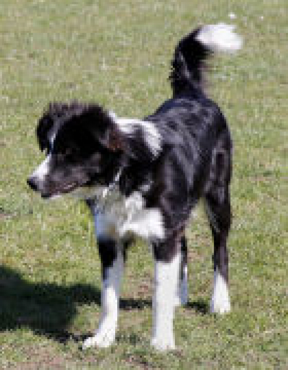 Marshonelle Switch N It On