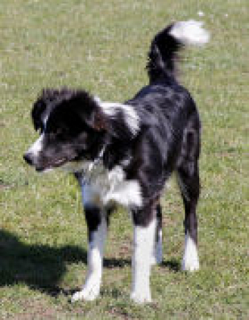 Marshonelle Switch N It On