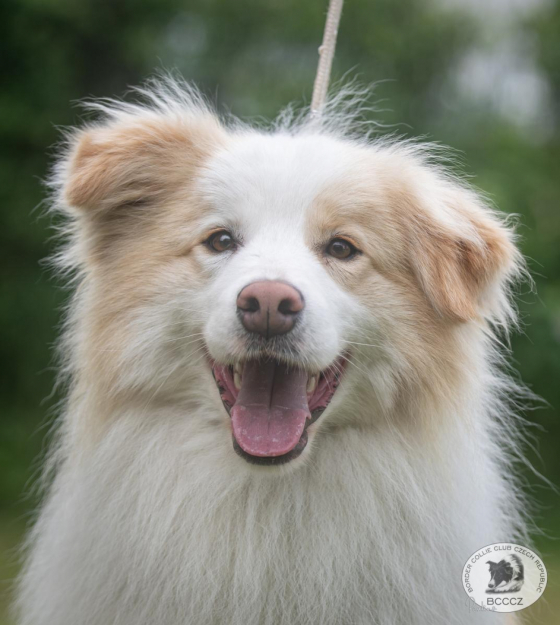 Seven Devils Borders Duster