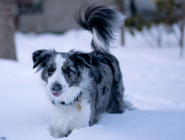 Kelly Queen Will Charm Everyone