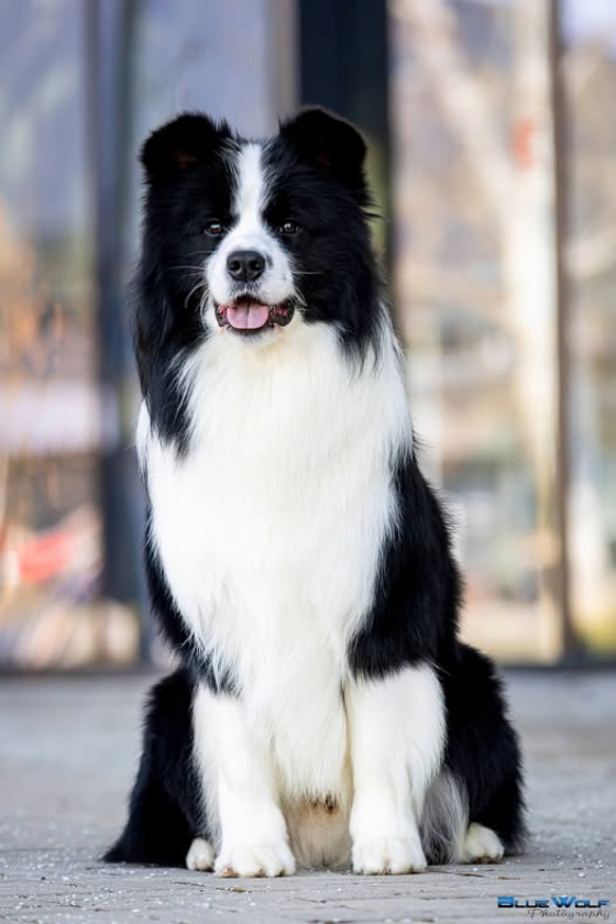 Lucky For You Lord Of Mercy