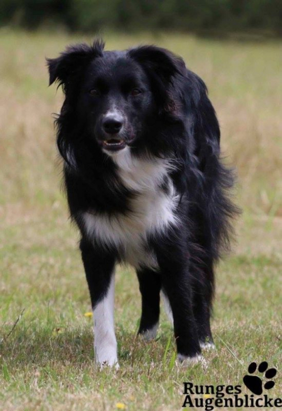 Grace Of Love Vom Soester Land