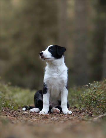 Maxspeed May We Meet Again