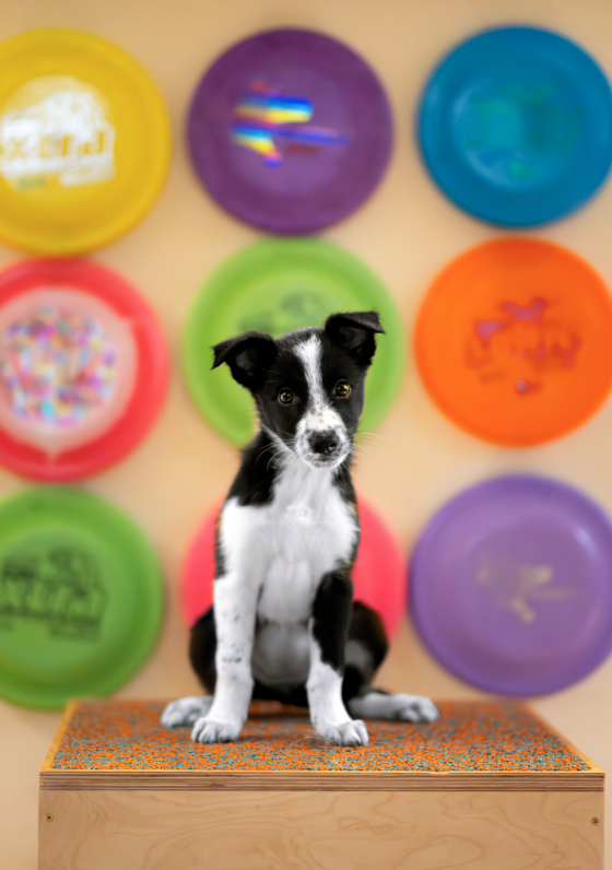 You Are The Flare In The Sky That First Finds Me To Spark My Mind