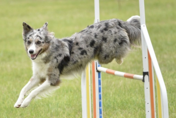 Riverspell Bloom In Eck