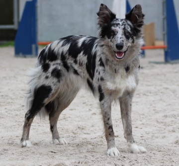 Valentina Vom Ettikogarten