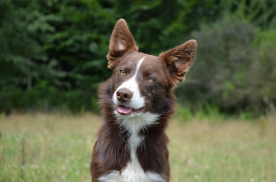 Wtf I M Powerful Like Challenger Made For Speed