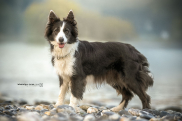 Crazy One Of True Opals