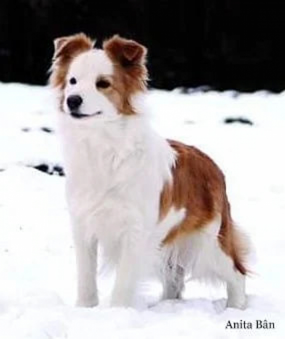 Ladybird At Real Pearl