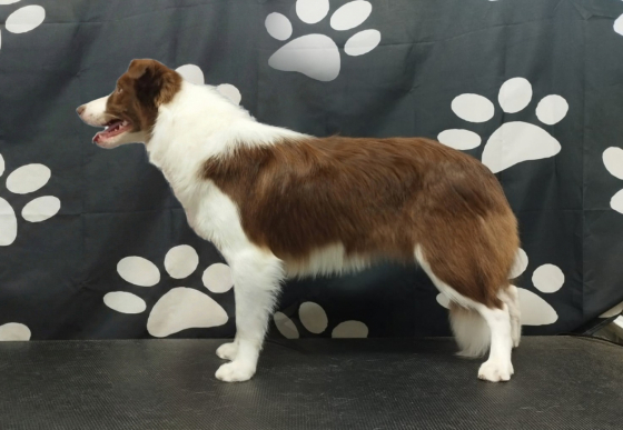 Theres So Much Fun In Roei Hakfar