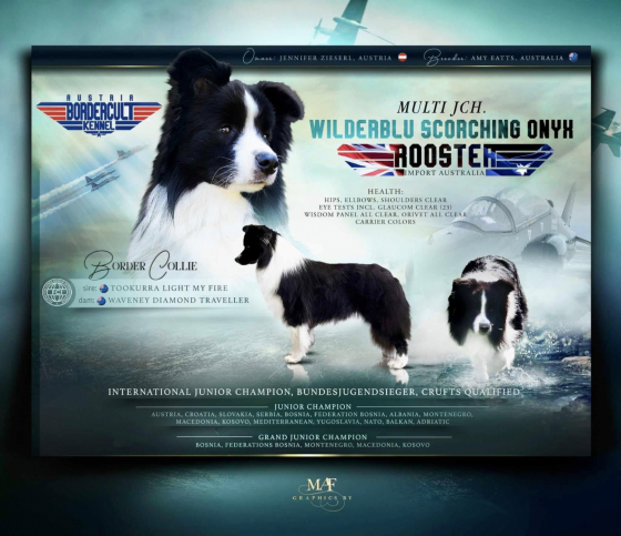 Wilderblu Scorching Onyx