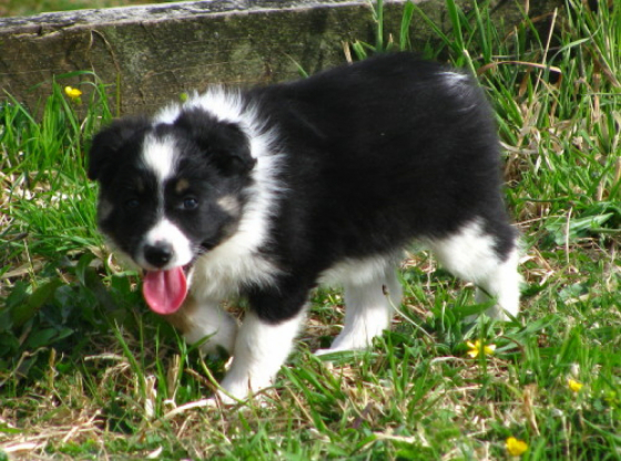 Ohutu Elsa Von Maungaturoto