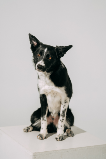 Brilliant Blik Overtake Eclipse