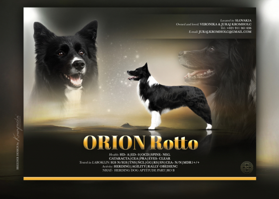 Orion Rotto